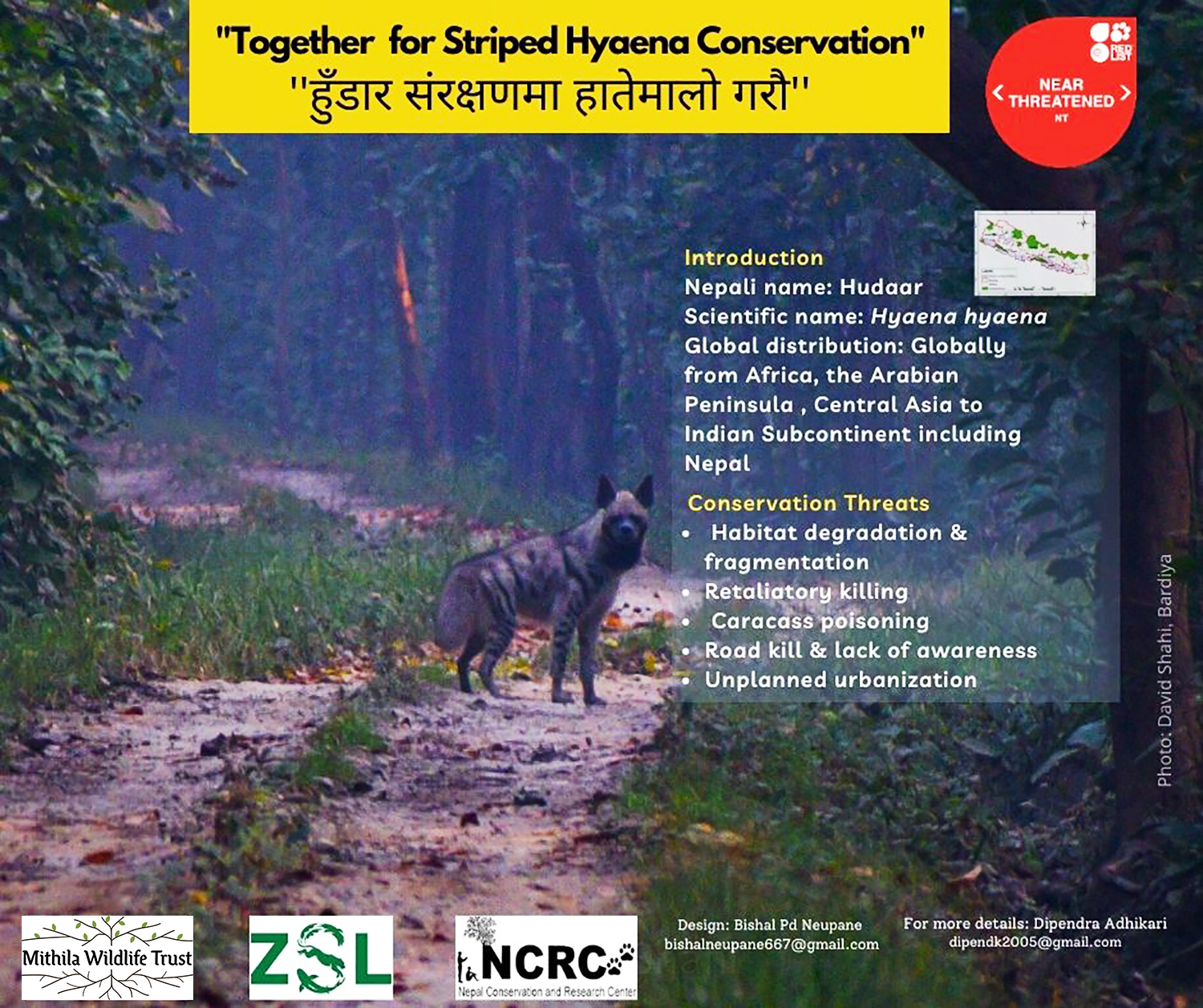Together for Striped Hyaena Conservation