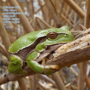 Are Wild Prey Sufficient for the Top Predators in theLowland Protected Areas of Nepal?