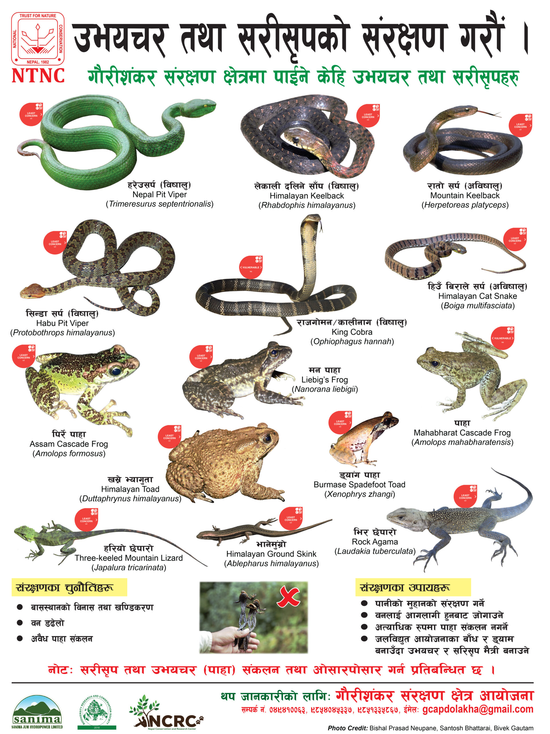 Amphibians and Reptiles of Gaurishankar Conservation Area