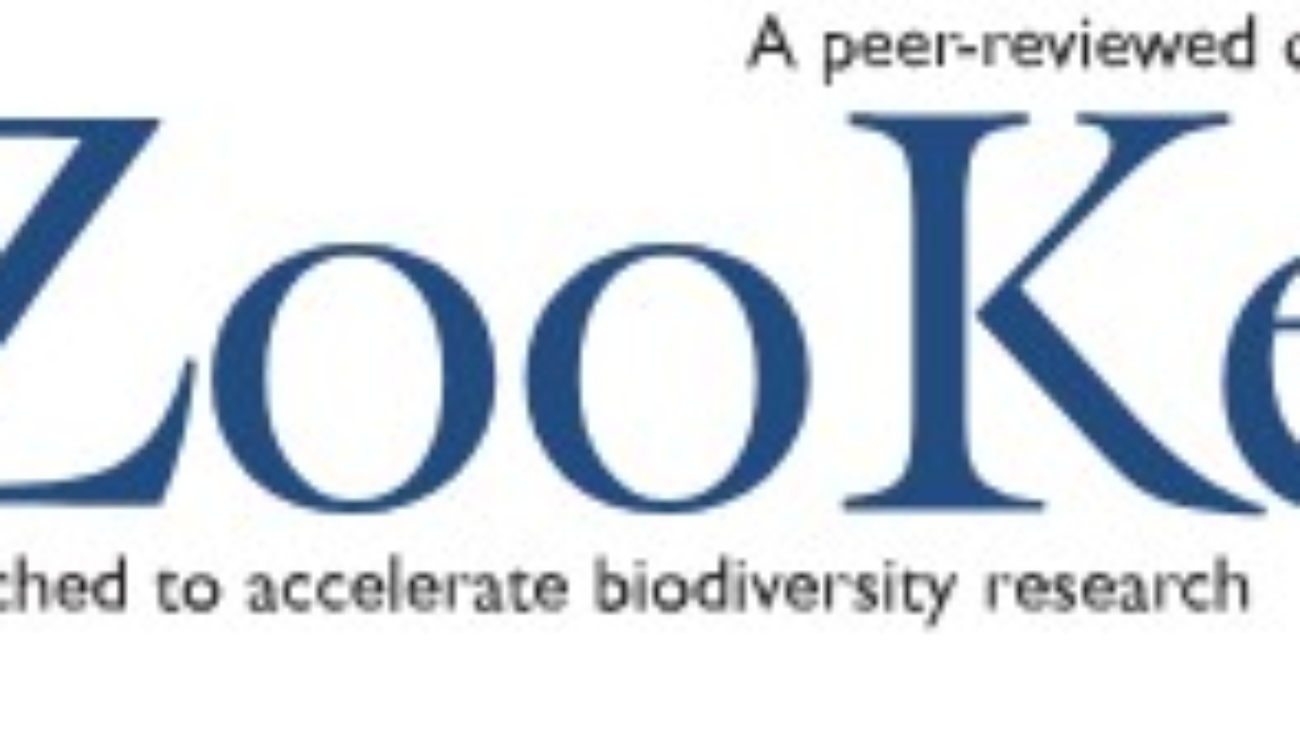 Screenshot 2025-11-04 112648