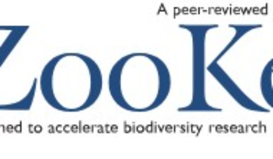 Screenshot 2025-11-04 112648