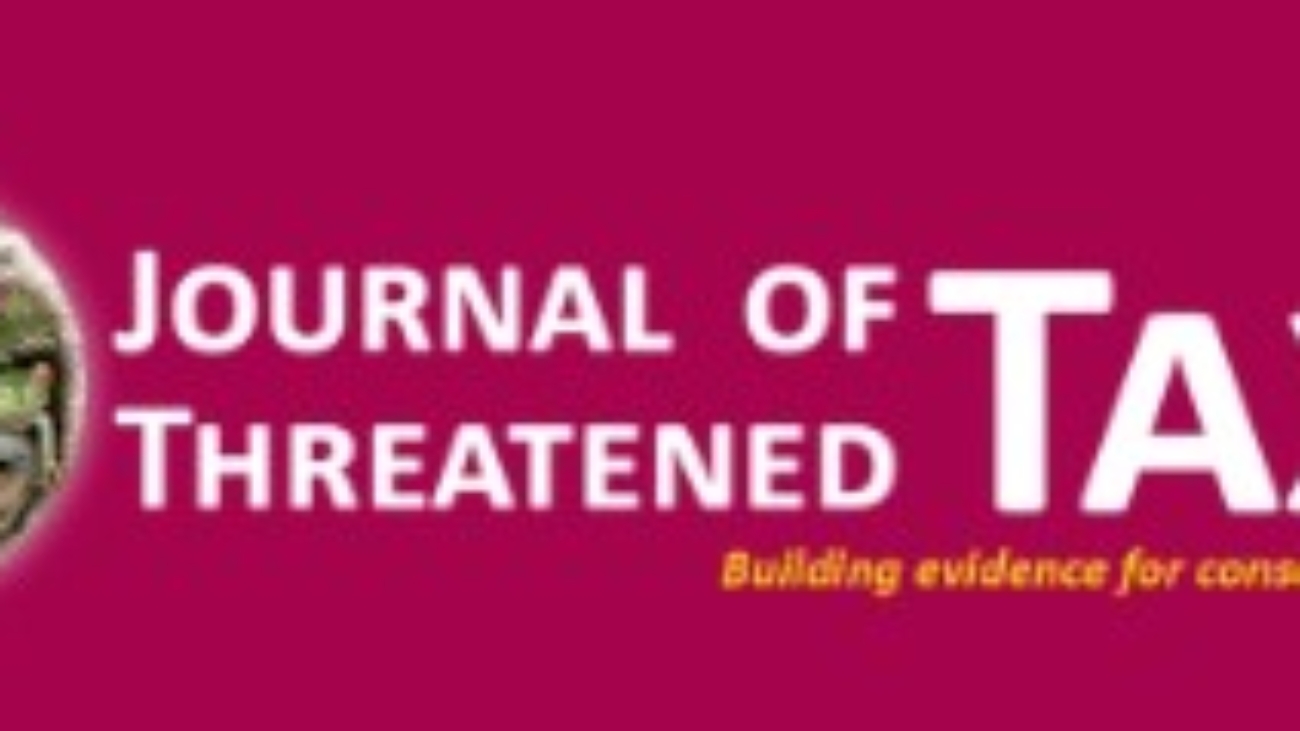 Screenshot 2025-11-04 114551