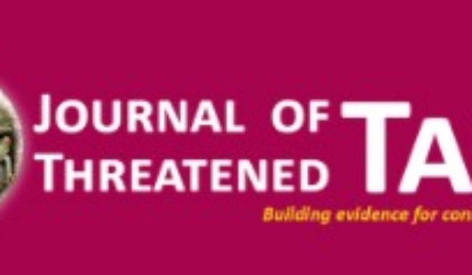 Screenshot 2025-11-04 114551