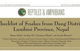 Checklist of Snakes from Dang District,Lumbini Province, Nepal