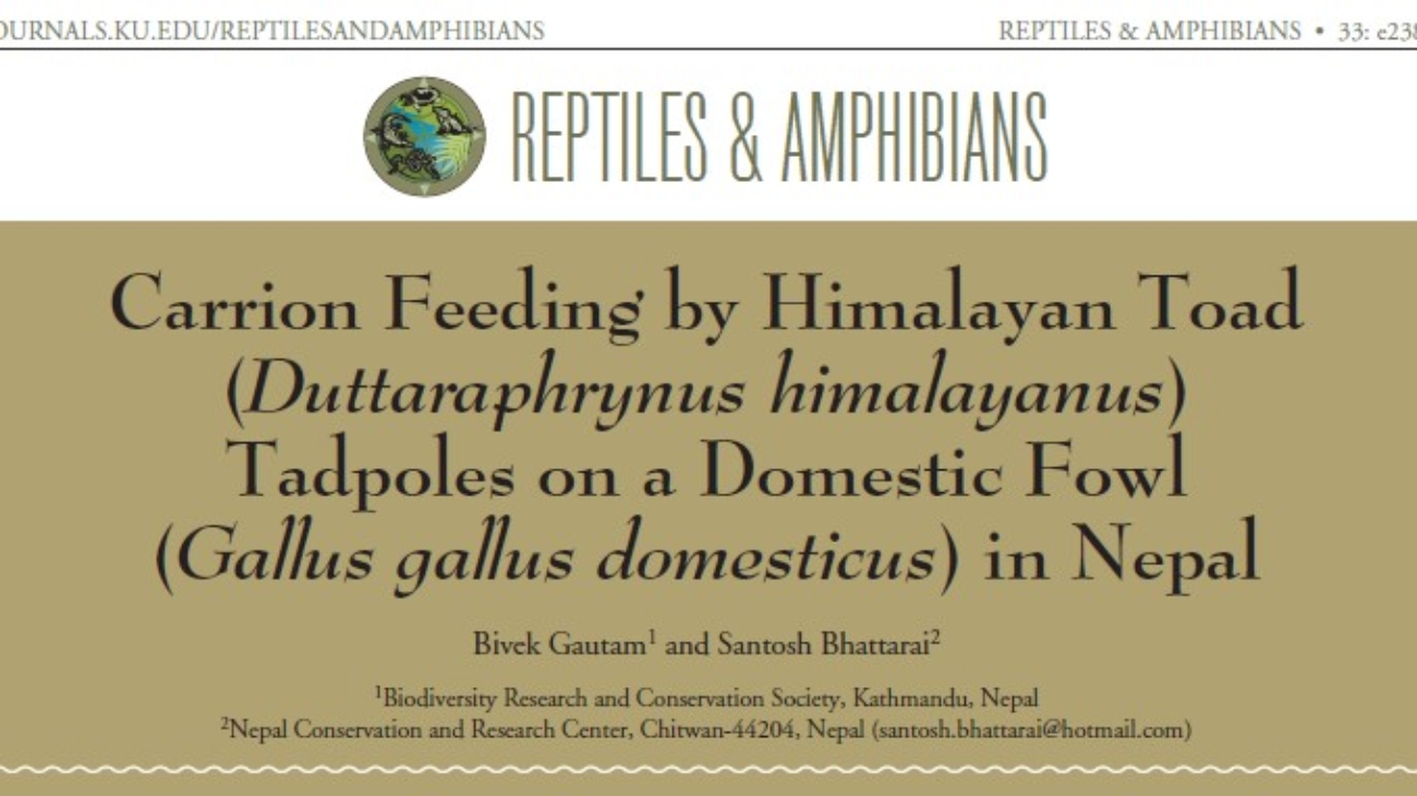 Screenshot 2026-02-16 092753