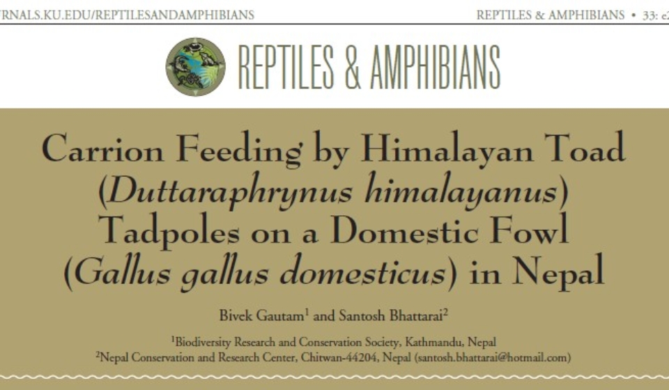 Screenshot 2026-02-16 092753