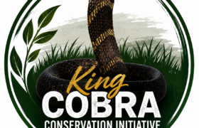 King Cobra Conservation Initiative in Nepal